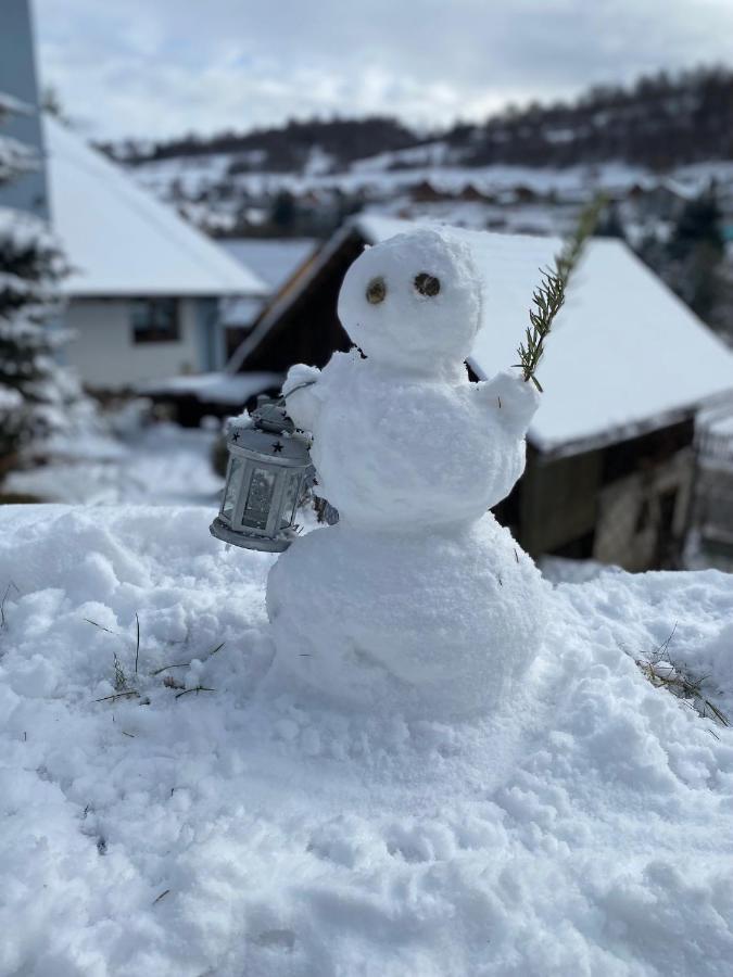 Domcek V Strani Villa Mýto pod Ďumbierom Exteriör bild